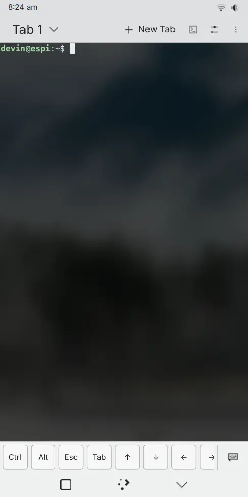 Screenshot of <nil>