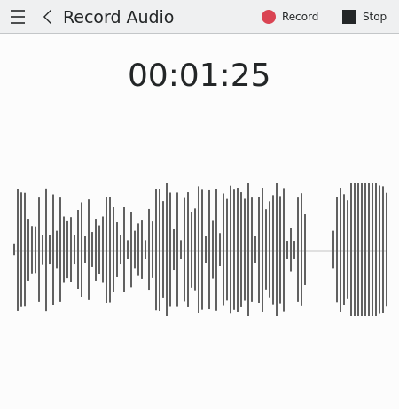 Audio input visualization of the voice recorder app